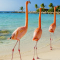 The Best Time to Cruise the Caribbean: A Comprehensive Guide