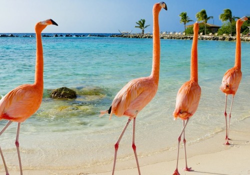 The Best Time to Cruise the Caribbean: A Comprehensive Guide
